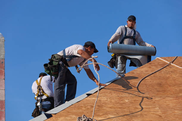 Best Best Roofing Contractors  in Riddle, OR